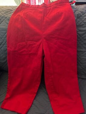 Briggs New York Vibrant Red Skirt